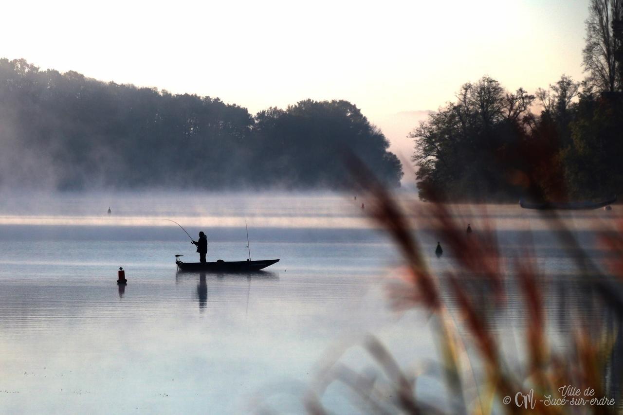 Bed and Breakfast Les Arbres Rouges Suce-sur-Erdre Екстер'єр фото